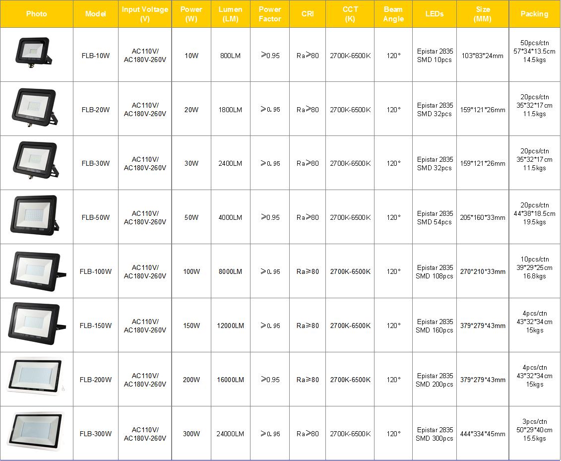 LED Flood light