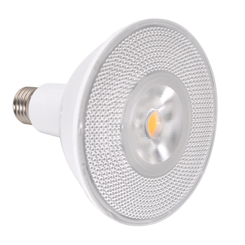 LED Bulb Par30