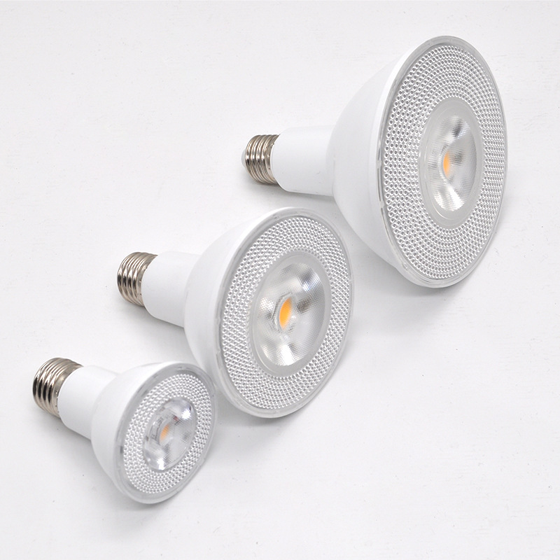 LED Bulb Par30