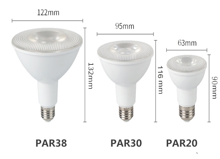 LED Bulb Par30