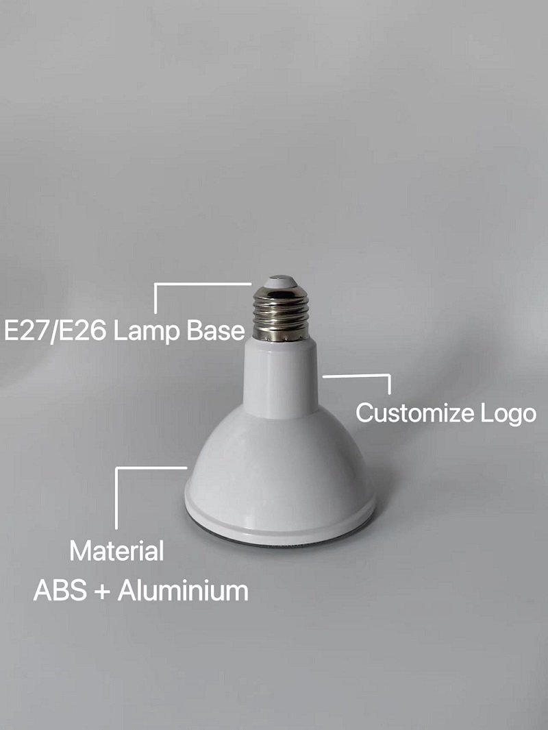 LED Bulb Par30