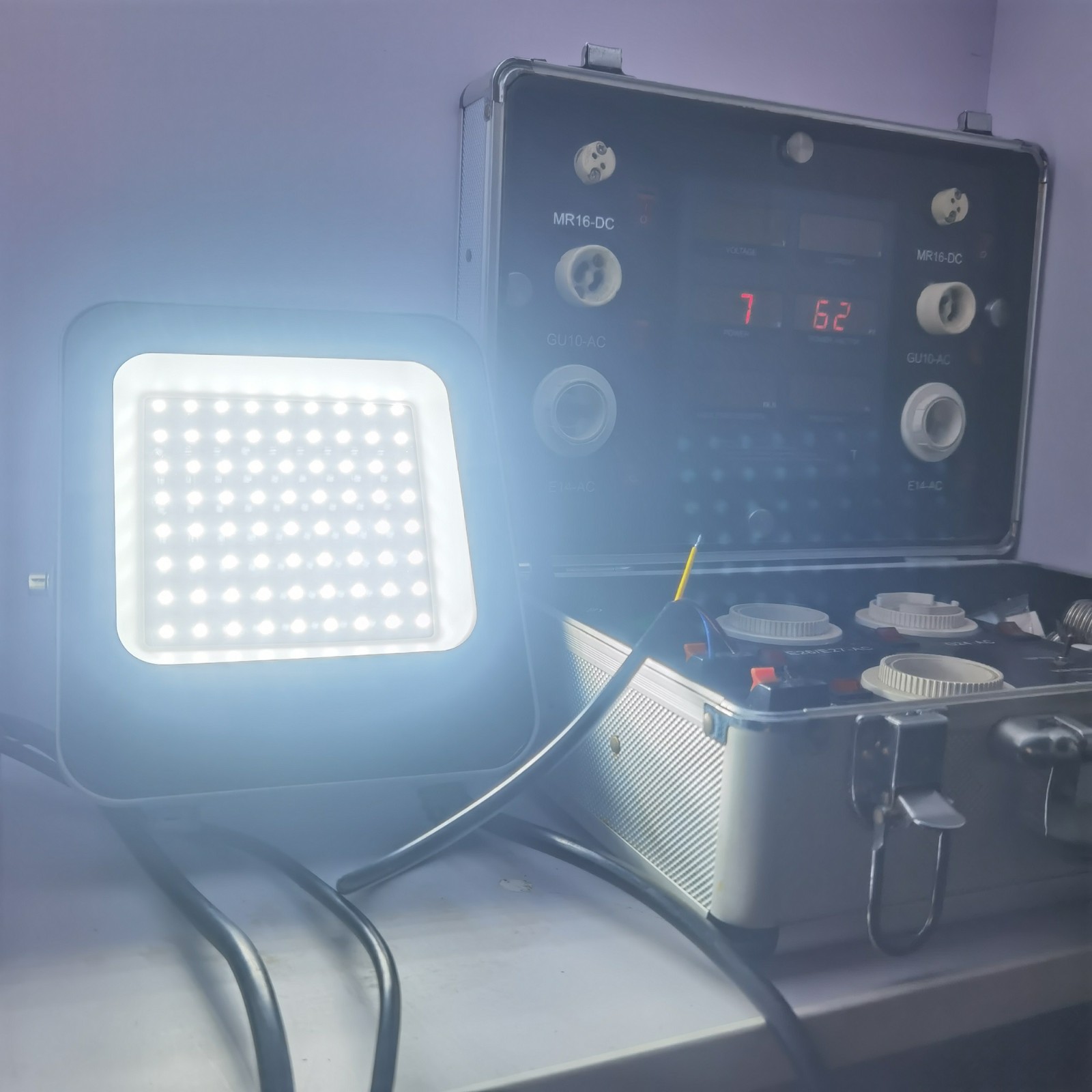 FLE LED Flood Lamp