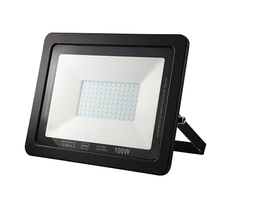 LED Flood light