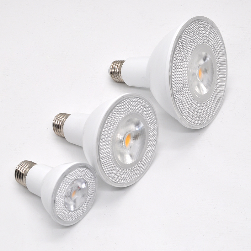 HHP-003 LED Bulb Par30