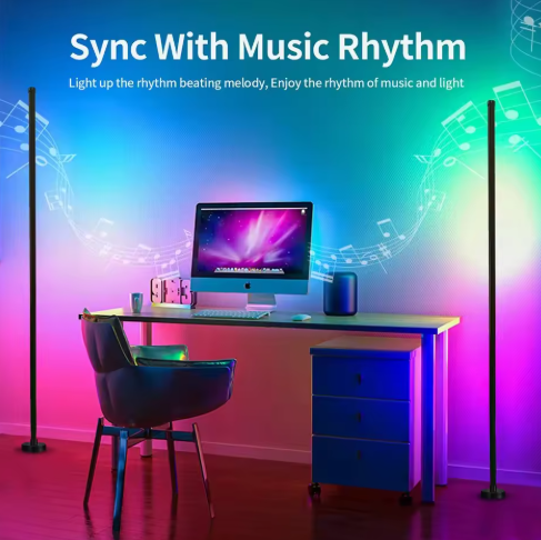 HHFL022D   Smart Floor Lamp